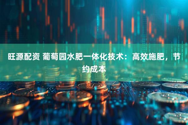 旺源配资 葡萄园水肥一体化技术：高效施肥，节约成本