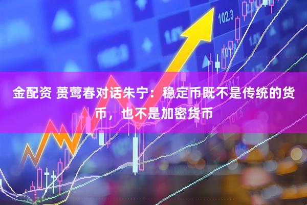 金配资 蒉莺春对话朱宁：稳定币既不是传统的货币，也不是加密货币