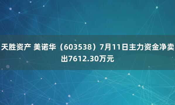 天胜资产 美诺华（603538）7月11日主力资金净卖出7612.30万元