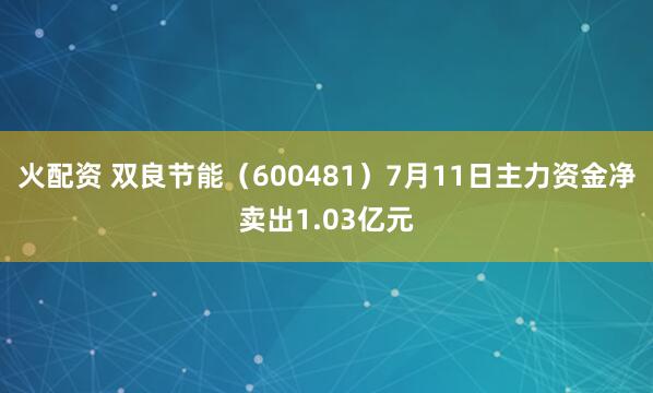 火配资 双良节能（600481）7月11日主力资金净卖出1.03亿元