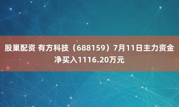股巢配资 有方科技（688159）7月11日主力资金净买入1116.20万元