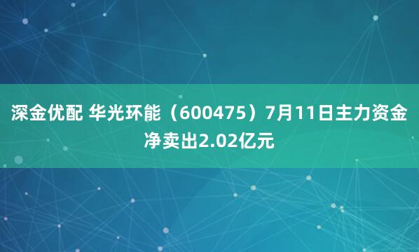 深金优配 华光环能（600475）7月11日主力资金净卖出2.02亿元