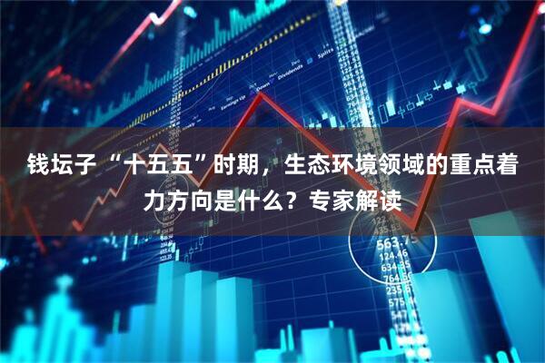 钱坛子 “十五五”时期，生态环境领域的重点着力方向是什么？专家解读