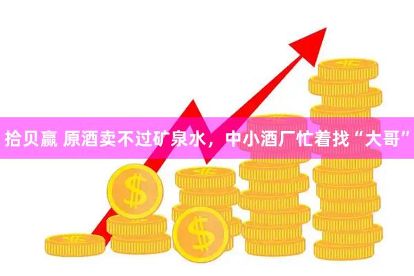 拾贝赢 原酒卖不过矿泉水，中小酒厂忙着找“大哥”